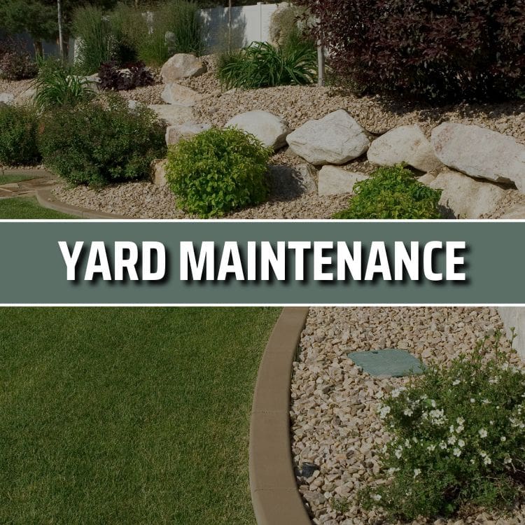 Yard Maintenance